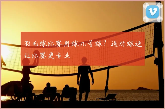 羽毛球比赛用球几号球？选对球速让比赛更专业