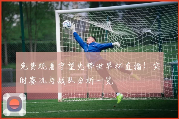 免费观看守望先锋世界杯直播！实时赛况与战队分析一览