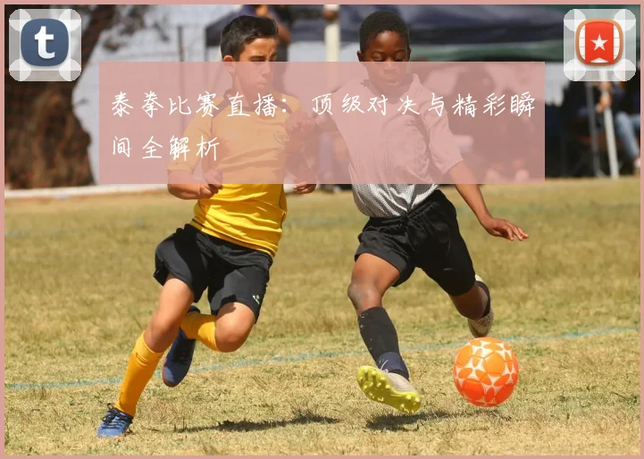 泰拳比赛直播：顶级对决与精彩瞬间全解析